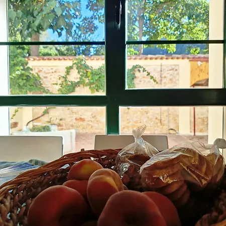 Casa vacanze La Llar Del Magraner *