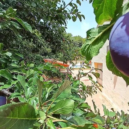 La Llar Del Magraner Casa vacanze *