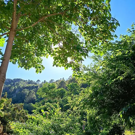 La Llar Del Magraner Casa vacanze *